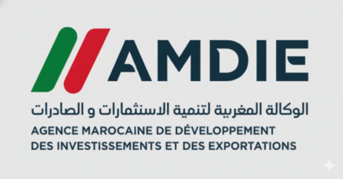 AMDIE Logo